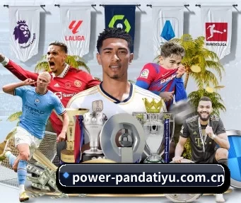 power-pandatiyu.com.cn APP